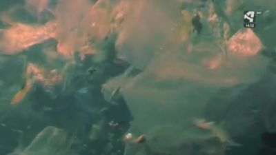 Residuos plásticos, desafío ambiental