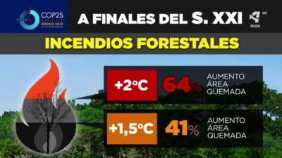 ¿Qué nos dicen los modelos de predicción sobre el cambio climático?