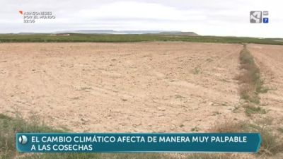 La huella del cambio climático en el campo aragonés