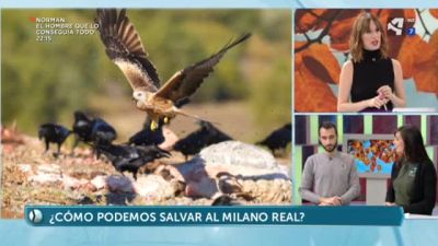 ¿Cómo afecta el cambio climático al Milano Real?
