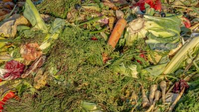 Consejos por el clima: reduce el desperdicio de alimentos