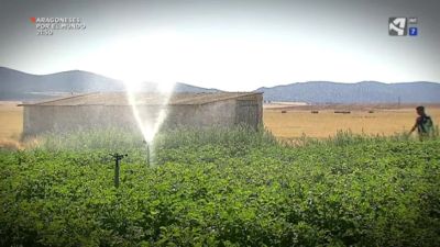 Agua y futuro