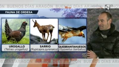 La fauna de Ordesa