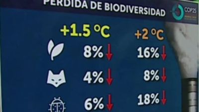 Nunca medio grado centígrado fue tan importante
