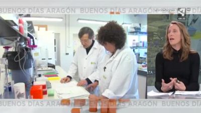 La gran labor del CITA (I)