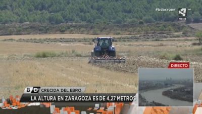 La gran labor del CITA (II)