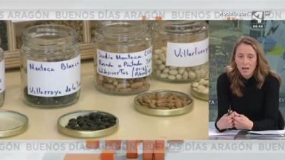 La gran labor del CITA (III)