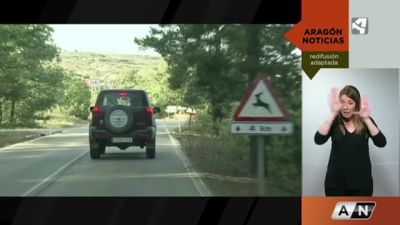 Atención: paso de animales en libertad
