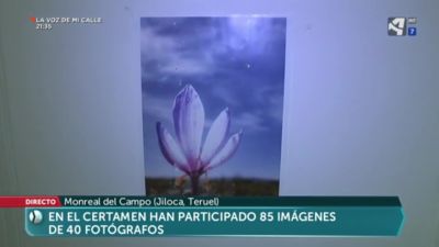 En homenaje a las esbrinadoras