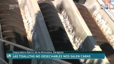 El monstruo de las toallitas