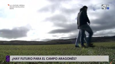 Las voces del campo (I)