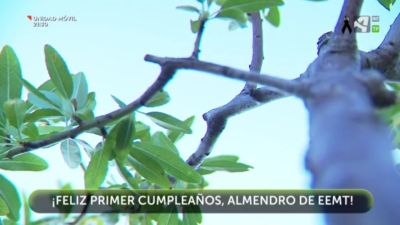 Almendro CARTV