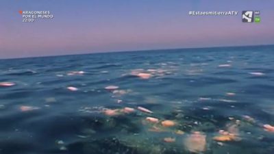 Plásticos en el mar