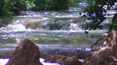 Primavera en el Monasterio de Piedra