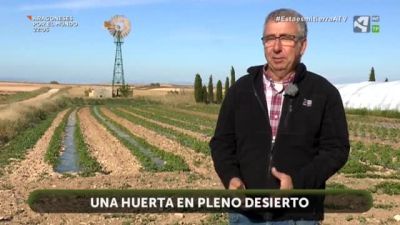 Una huerta en pleno desierto