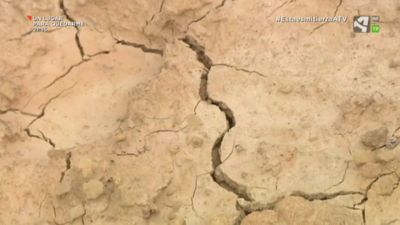 Día Mundial de la lucha contra la desertificación y la sequía