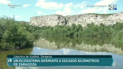 Los galachos de Juslibol