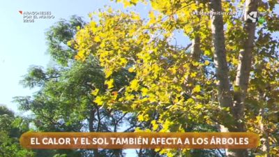 Mecanismo de defensa