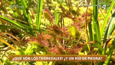 Agua en el tremedal y bajo el río de piedra