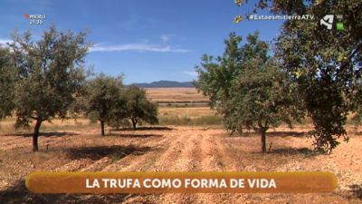 Razones para quedarse