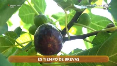 De higos a brevas