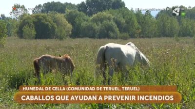 Ayudan en la prevención de incendios