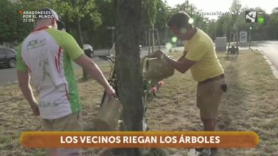 Los árboles de Berlín ya no tienen sed