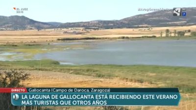 Gallocanta espectacular