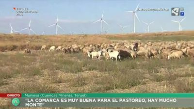 Tercera generación de pastores en Muniesa - Cuencas Mineras (Teruel)