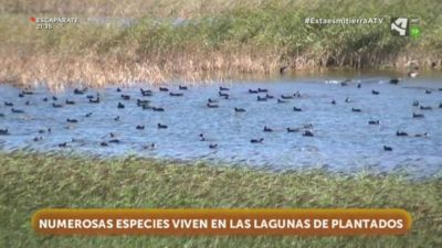 Lagunas de Plantados