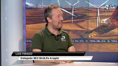 Racionalizar el impacto de los aerogeneradores (I)