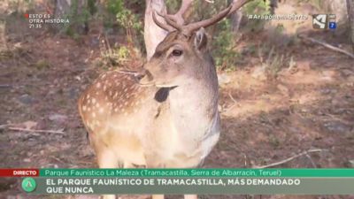 Parque Faunístico La Maleza en Tramacastilla - Sierra de Albarracín (Teruel)