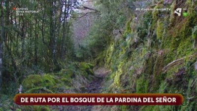 Bosque de la Pardina del Señor, Fanlo - Sobrarbe (Huesca)