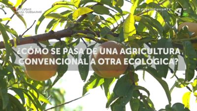 Agricultura ecológica en Ricla - Valdejalón (Zaragoza)