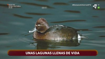 Lagunas de Agón y Bisimbre - Campo de Borja (Zaragoza)