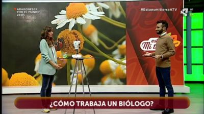 Profesiones: Bióloga/o