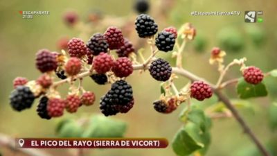 Sierra Vicort - Comunidad de Calatayud (Zaragoza)
