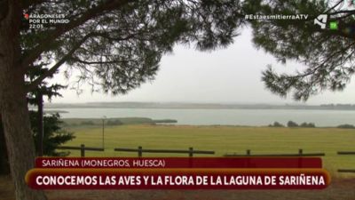 Laguna de Sariñena