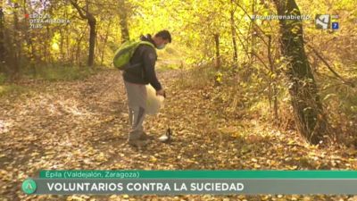 Voluntarios contra la suciedad