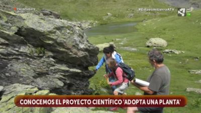 Adopta una planta