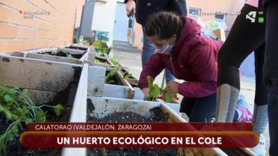 Un huerto ecológico en el cole