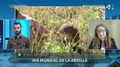 Día Mundial de la ardilla