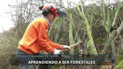 Aprendiendo a ser Forestales en Jorcas (Teruel)