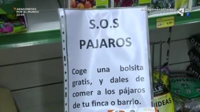 SOS pájaros