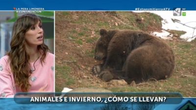 Animales e Invierno
