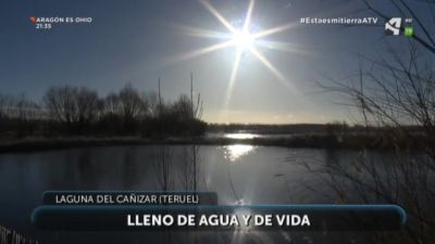 Humedales: agua y vida