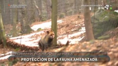 Protección de la biodiversidad