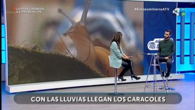 ¡Caracoles!