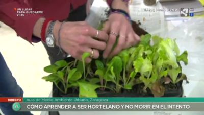 Un huerto de bolsillo