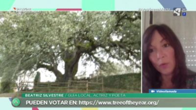 Carrasca de Lecina: pasado, presente y futuro